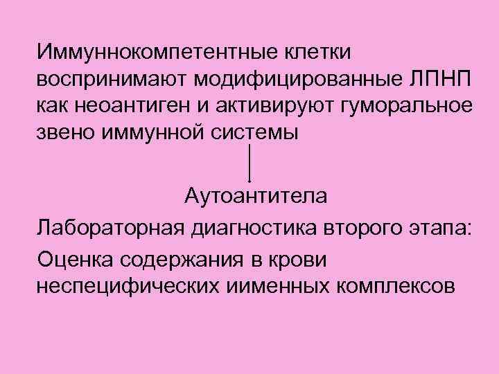Иммуннокомпетентные клетки воспринимают модифицированные ЛПНП как неоантиген и активируют гуморальное звено иммунной системы 