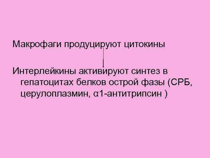 Макрофаги продуцируют цитокины Интерлейкины активируют синтез в гепатоцитах белков острой фазы (CРБ,  церулоплазмин,