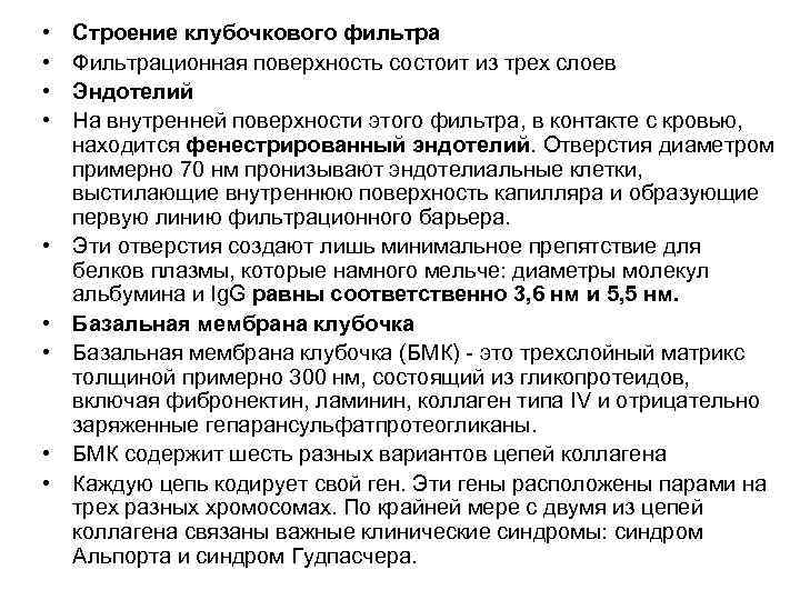  •  Строение клубочкового фильтра •  Фильтрационная поверхность состоит из трех слоев
