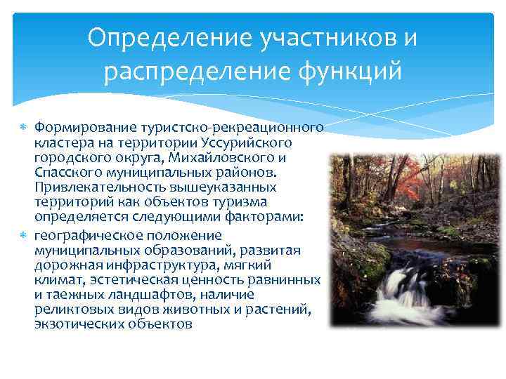    Определение участников и  распределение функций  Формирование туристско-рекреационного  кластера