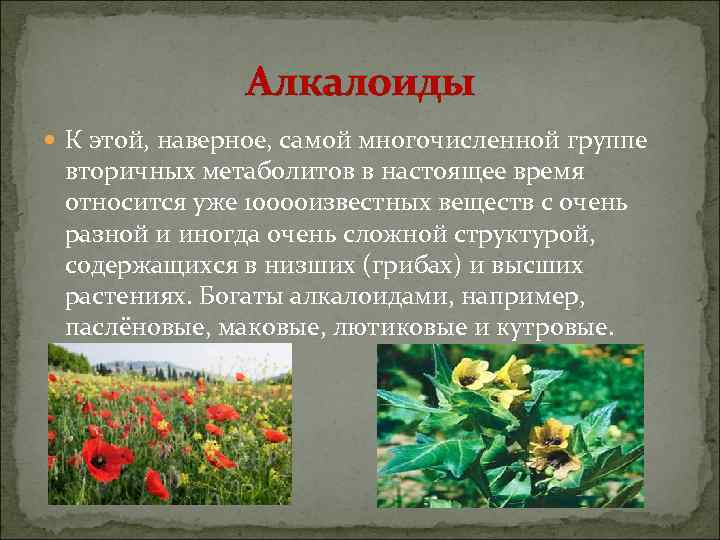     Алкалоиды  К этой, наверное, самой многочисленной группе вторичных метаболитов