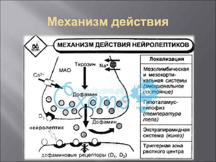 Механизм действия транквилизаторов схема