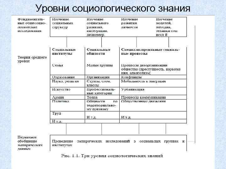 Уровни социологического знания 