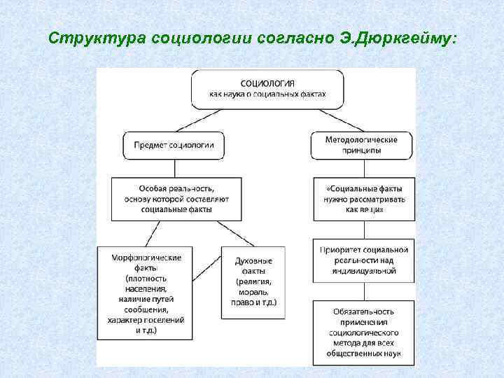 Структура социологии согласно Э. Дюркгейму: 