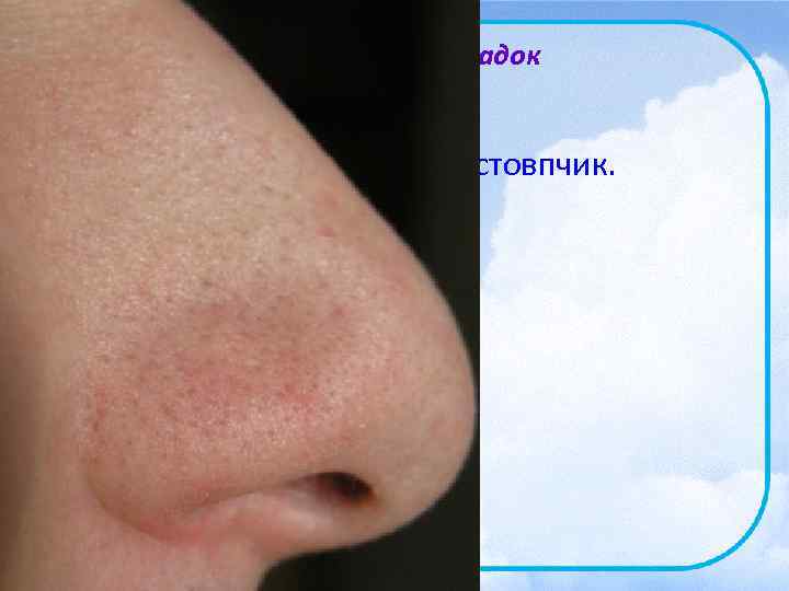     Відгадування загадок  •  Запишіть слова-відгадки у стовпчик. 