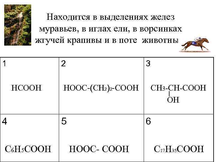    Находится в выделениях желез   муравьев, в иглах ели, в