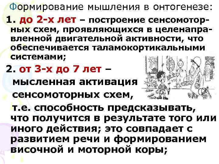 Формирование мышления в онтогенезе: 1. до 2 -х лет – построение сенсомотор- ных схем,