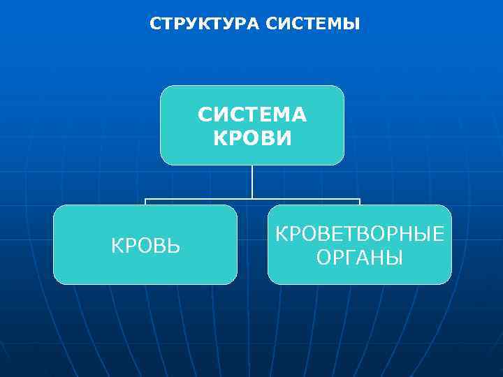 СТРУКТУРА СИСТЕМЫ СИСТЕМА КРОВИ КРОВЕТВОРНЫЕ КРОВЬ СТРУКТУРА СИСТЕМЫ СИСТЕМА КРОВИ КРОВЕТВОРНЫЕ КРОВЬ