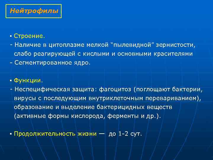 Нейтрофилы ▪ Строение. Наличие в цитоплазме мелкой “пылевидной” зернистости, слабо реагирующей Нейтрофилы ▪ Строение. Наличие в цитоплазме мелкой “пылевидной” зернистости, слабо реагирующей