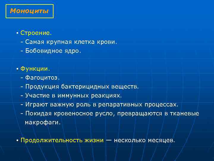 Моноциты ▪ Строение. Самая крупная клетка крови. Бобовидное ядро. ▪ Функции. Моноциты ▪ Строение. Самая крупная клетка крови. Бобовидное ядро. ▪ Функции.