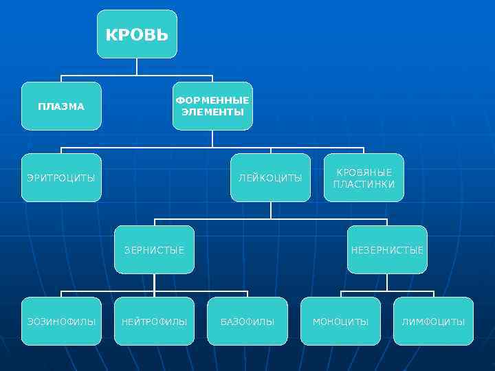 КРОВЬ ФОРМЕННЫЕ ПЛАЗМА ЭЛЕМЕНТЫ КРОВЬ ФОРМЕННЫЕ ПЛАЗМА ЭЛЕМЕНТЫ