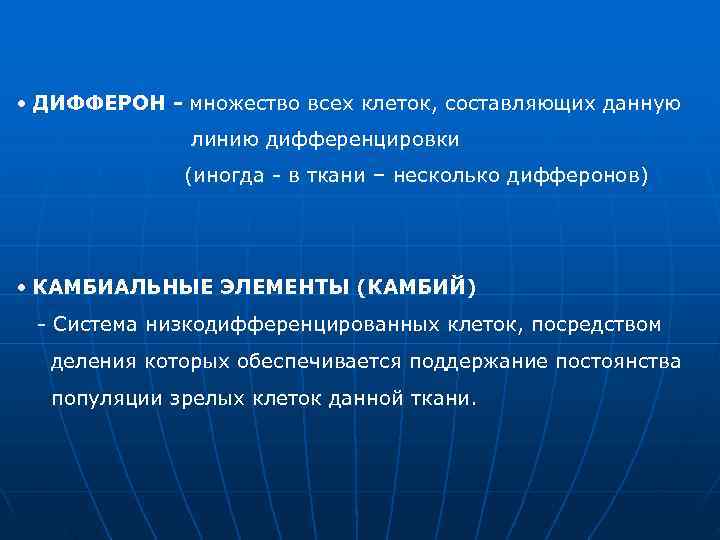  • ДИФФЕРОН - множество всех клеток, составляющих данную    линию дифференцировки