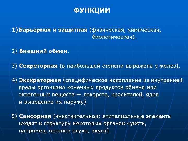     ФУНКЦИИ  1) Барьерная и защитная (физическая, химическая,  