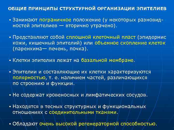 ОБЩИЕ ПРИНЦИПЫ СТРУКТУРНОЙ ОРГАНИЗАЦИИ ЭПИТЕЛИЕВ ▪ Занимают пограничное положение (у некоторых разновид  ностей