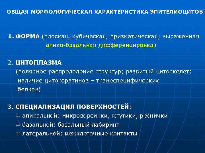 ОБЩАЯ МОРФОЛОГИЧЕСКАЯ ХАРАКТЕРИСТИКА ЭПИТЕЛИОЦИТОВ  1. ФОРМА (плоская, кубическая, призматическая; выраженная   апико