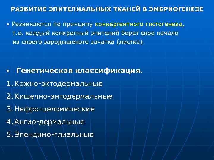   РАЗВИТИЕ ЭПИТЕЛИАЛЬНЫХ ТКАНЕЙ В ЭМБРИОГЕНЕЗЕ  • Развиваются по принципу конвергентного гистогенеза,