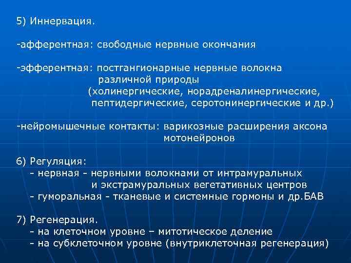 5) Иннервация. -афферентная: свободные нервные окончания -эфферентная: постгангионарные нервные волокна 5) Иннервация. -афферентная: свободные нервные окончания -эфферентная: постгангионарные нервные волокна