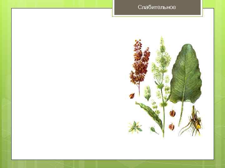 Слабительное 