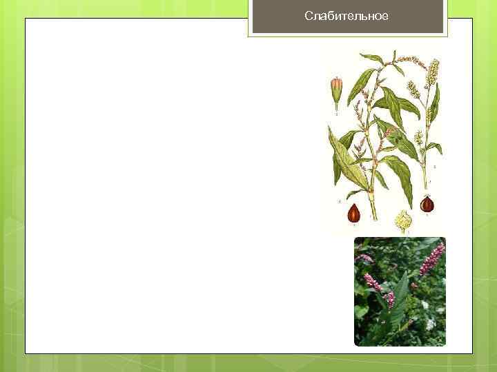 Слабительное 