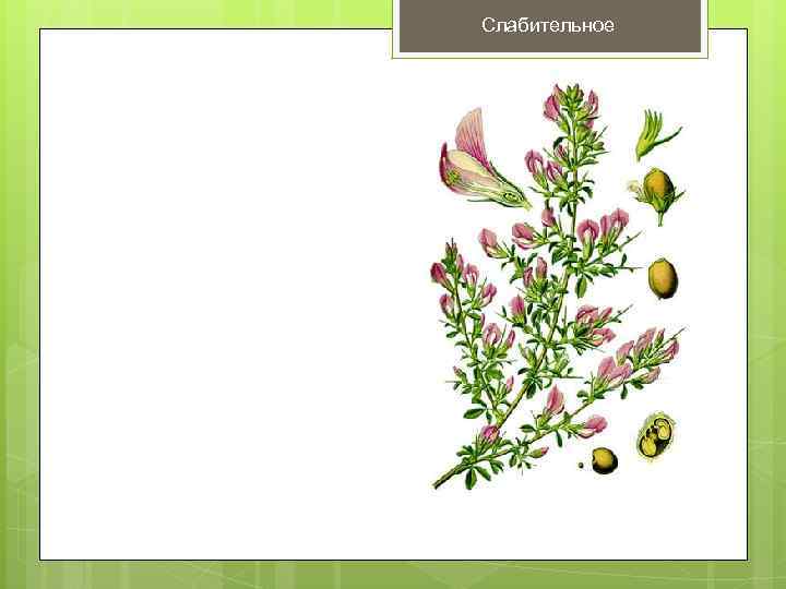 Слабительное 