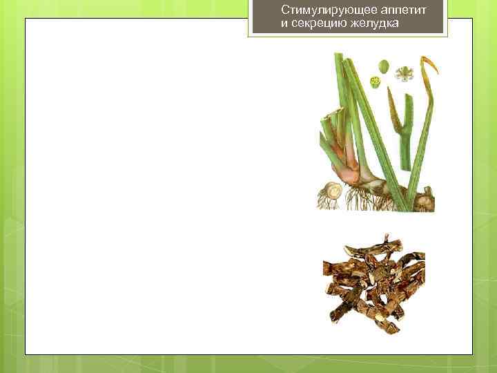 Стимулирующее аппетит и секрецию желудка 