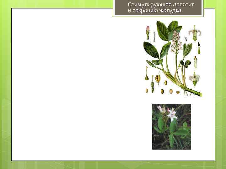 Стимулирующее аппетит и секрецию желудка 