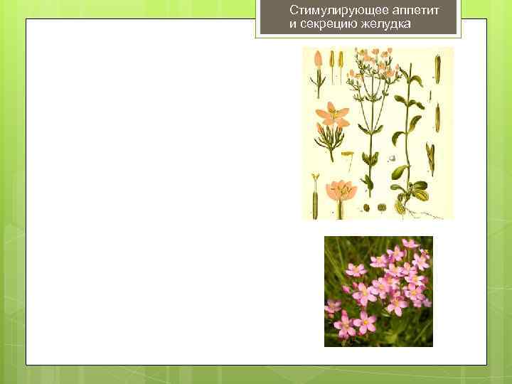 Стимулирующее аппетит и секрецию желудка 