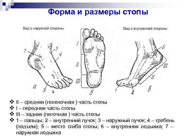 Образец описания следа обуви