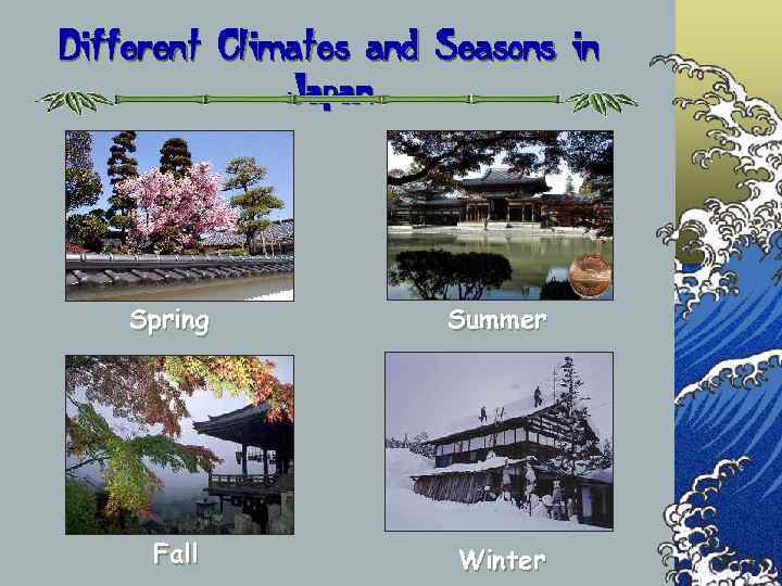 Different Climates and Seasons in    Japan   Spring  