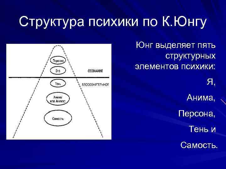 Структура психики по К. Юнгу   Юнг выделяет пять    структурных