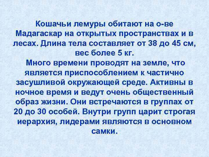  Кошачьи лемуры обитают на о-ве Мадагаскар на открытых пространствах и в лесах. Длина