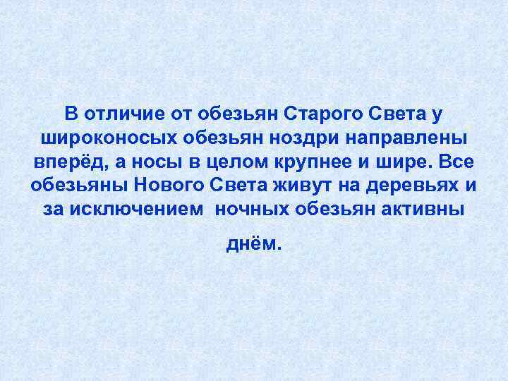   В отличие от обезьян Старого Света у  широконосых обезьян ноздри направлены