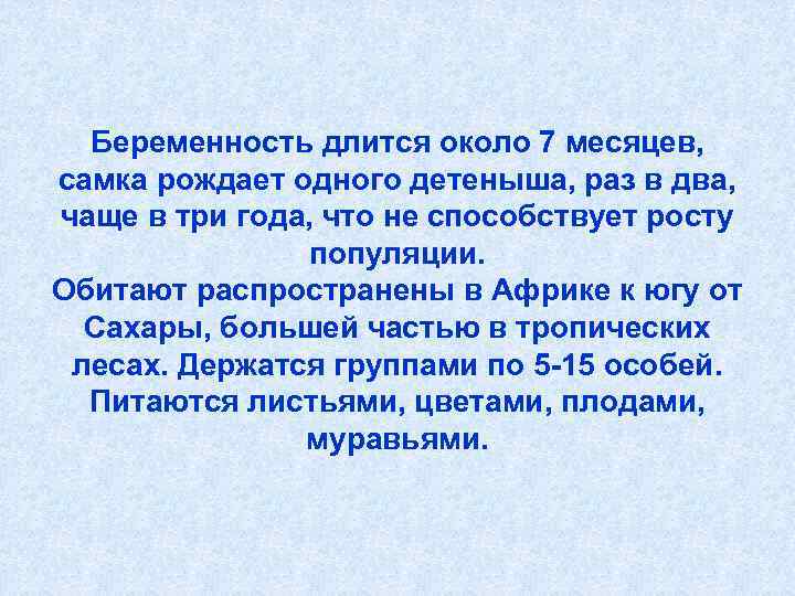  Беременность длится около 7 месяцев,  самка рождает одного детеныша, раз в два,