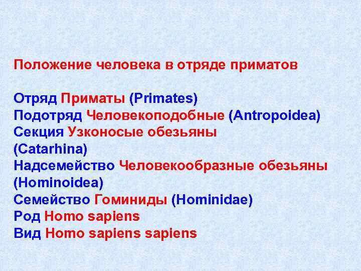 Положение человека в отряде приматов Отряд Приматы (Primates) Подотряд Человекоподобные (Antropoidea) Секция Узконосые обезьяны