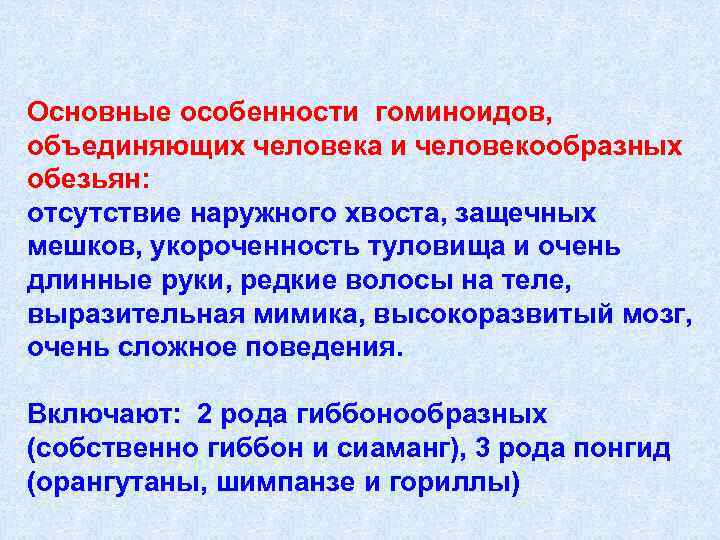 Основные особенности гоминоидов,  объединяющих человека и человекообразных обезьян: отсутствие наружного хвоста, защечных мешков,