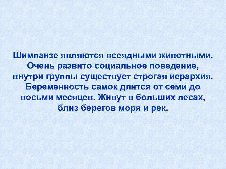 Шимпанзе являются всеядными животными. Очень развито социальное поведение,  внутри группы существует строгая иерархия.