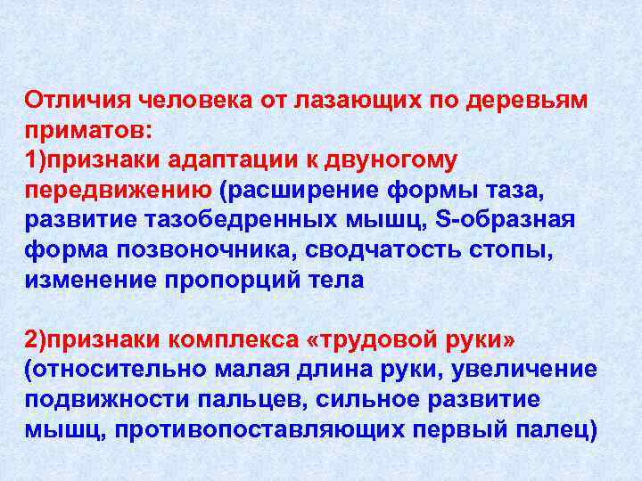 Отличия человека от лазающих по деревьям приматов: 1)признаки адаптации к двуногому передвижению (расширение формы