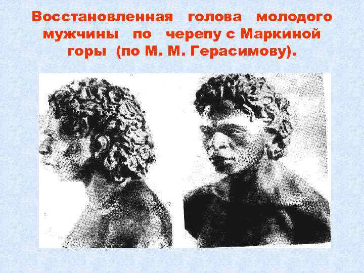 Восстановленная голова молодого мужчины по черепу с Маркиной горы (по М. М. Герасимову). 