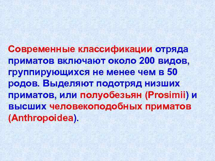 Современные классификации отряда приматов включают около 200 видов,  группирующихся не менее чем в