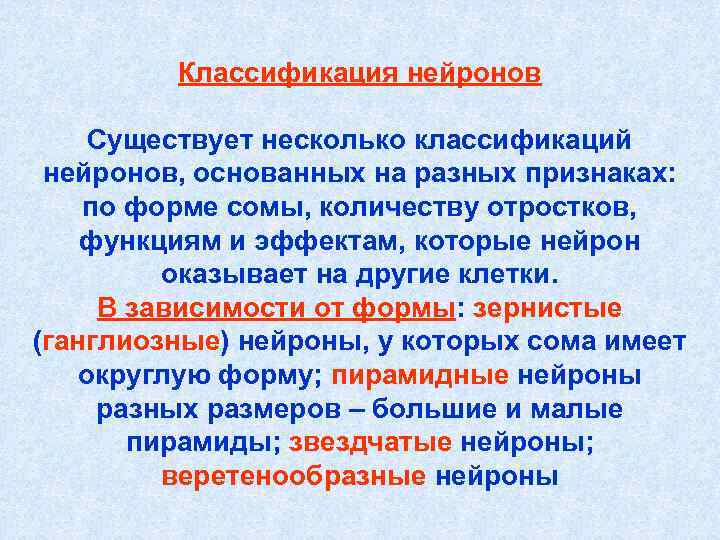 Классификация нейронов Существует несколько классификаций нейронов, основанных на разных признаках: Классификация нейронов Существует несколько классификаций нейронов, основанных на разных признаках: