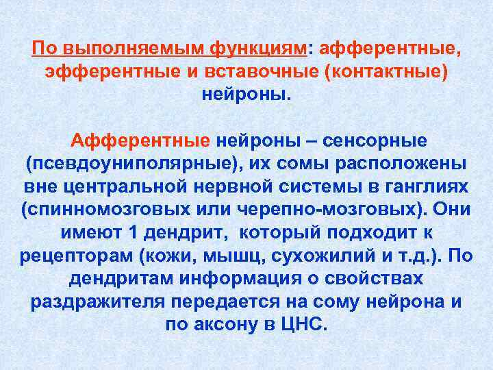 По выполняемым функциям: афферентные, эфферентные и вставочные (контактные) нейроны. По выполняемым функциям: афферентные, эфферентные и вставочные (контактные) нейроны.