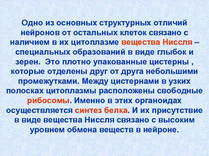 Одно из основных структурных отличий нейронов от остальных клеток связано с наличием Одно из основных структурных отличий нейронов от остальных клеток связано с наличием