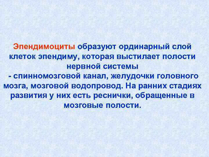 Эпендимоциты образуют ординарный слой клеток эпендиму, которая выстилает полости Эпендимоциты образуют ординарный слой клеток эпендиму, которая выстилает полости