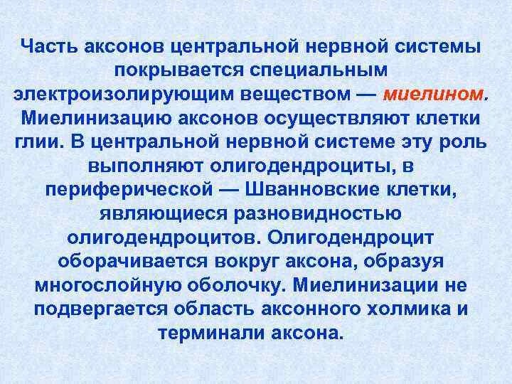 Часть аксонов центральной нервной системы покрывается специальным электроизолирующим веществом — миелином. Часть аксонов центральной нервной системы покрывается специальным электроизолирующим веществом — миелином.