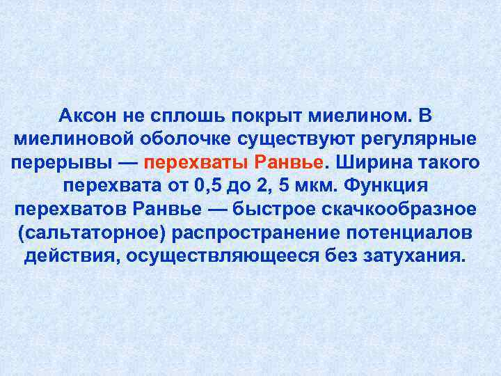 Аксон не сплошь покрыт миелином. В миелиновой оболочке существуют регулярные перерывы — перехваты Аксон не сплошь покрыт миелином. В миелиновой оболочке существуют регулярные перерывы — перехваты