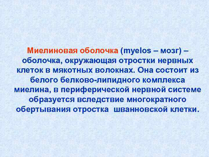 Миелиновая оболочка (myelos – мозг) – оболочка, окружающая отростки нервных клеток в мякотных Миелиновая оболочка (myelos – мозг) – оболочка, окружающая отростки нервных клеток в мякотных