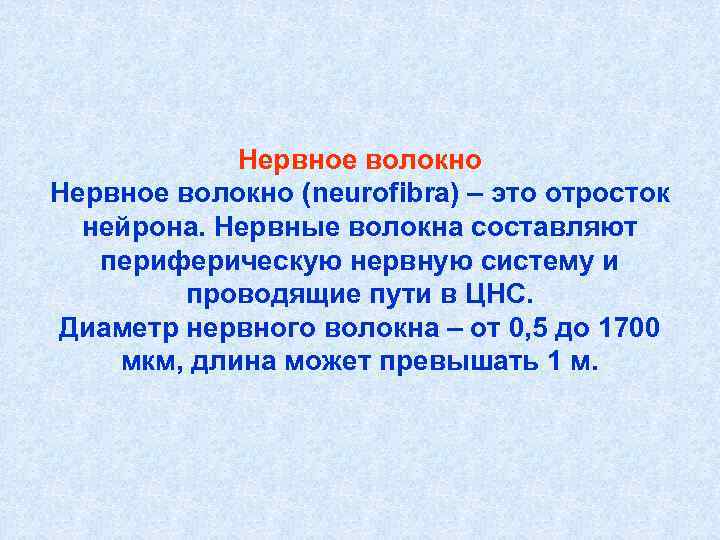 Нервное волокно (neurofibra) – это отросток нейрона. Нервные волокна составляют Нервное волокно (neurofibra) – это отросток нейрона. Нервные волокна составляют