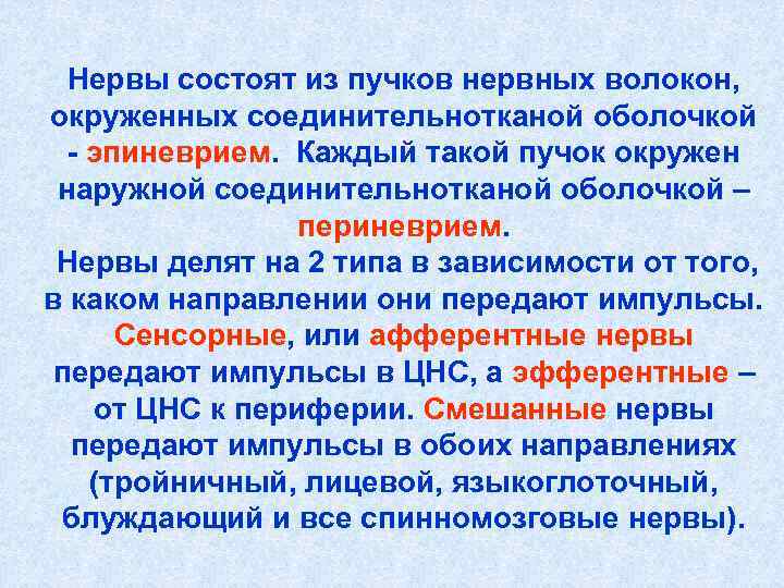 Нервы состоят из пучков нервных волокон, окруженных соединительнотканой оболочкой - эпиневрием. Каждый Нервы состоят из пучков нервных волокон, окруженных соединительнотканой оболочкой - эпиневрием. Каждый