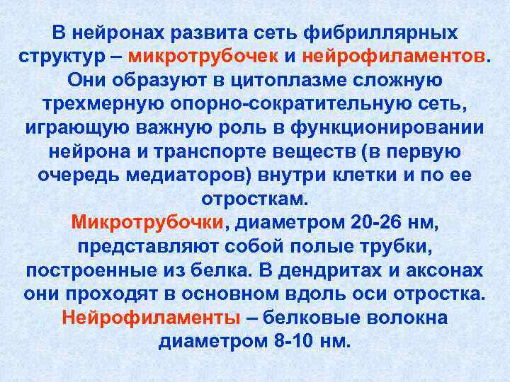 В нейронах развита сеть фибриллярных структур – микротрубочек и нейрофиламентов. Они В нейронах развита сеть фибриллярных структур – микротрубочек и нейрофиламентов. Они