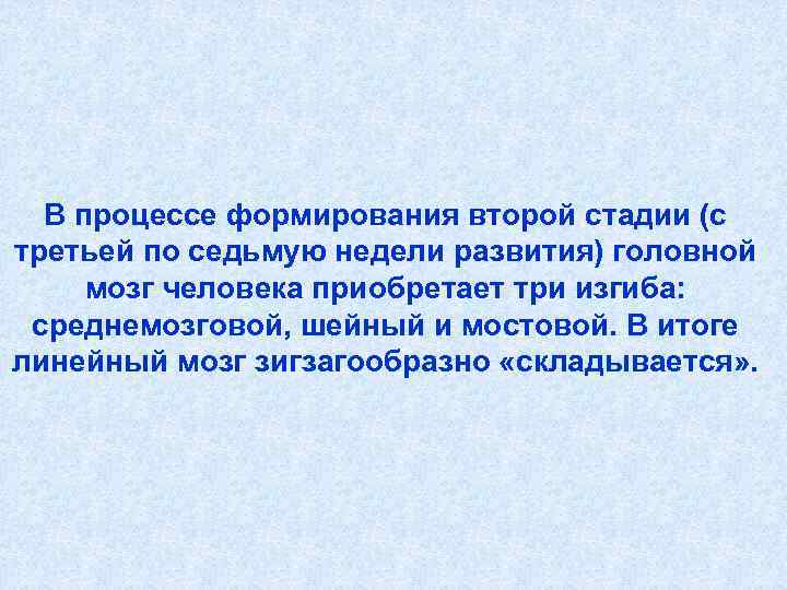  В процессе формирования второй стадии (с третьей по седьмую недели развития) головной мозг